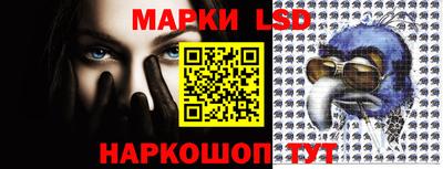 бошки Краснодар
